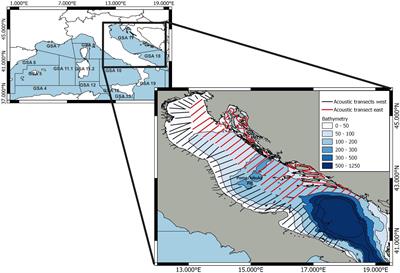 Modeling of the habitat suitability of European sprat (Sprattus sprattus, L.) in the Adriatic Sea under several climate change scenarios